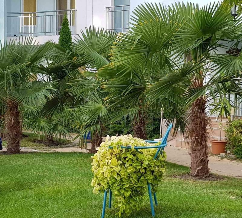 Yassen Holiday Village ซันนีบีช ภายนอก รูปภาพ